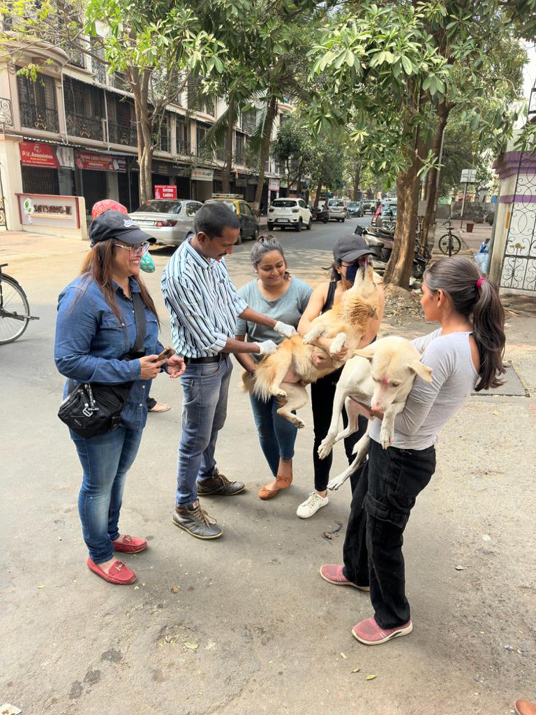 Community Workshop on Rabies Control